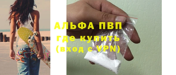 сатива Абаза