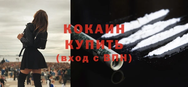 индика Абинск