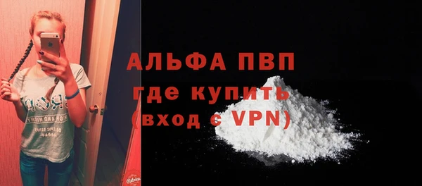 индика Абинск
