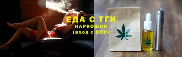 индика Абинск
