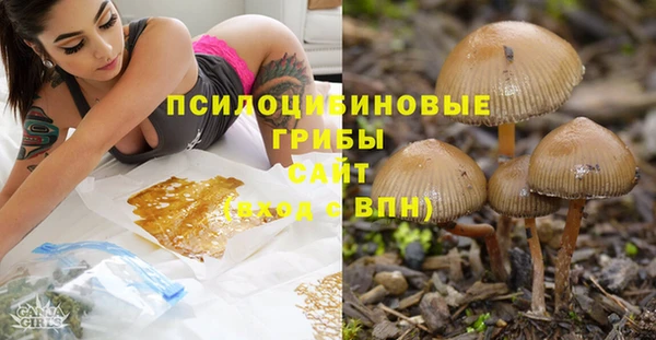 индика Абинск
