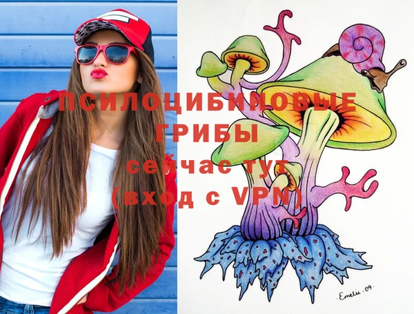 индика Абинск