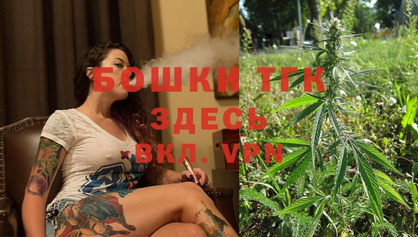 сатива Абаза