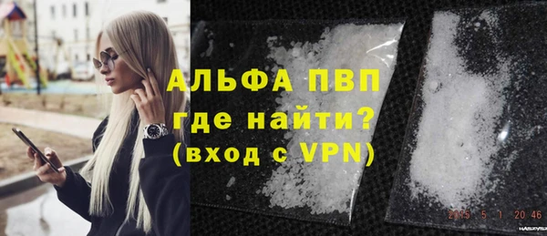индика Абинск