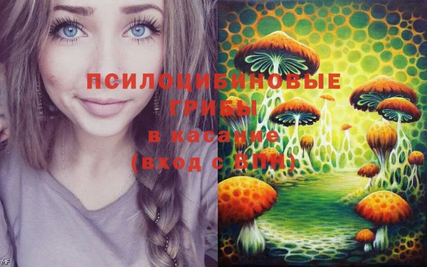 сатива Абаза