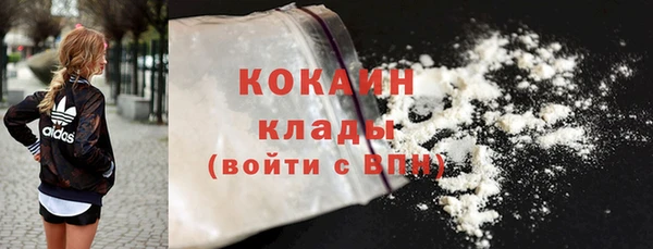 индика Абинск